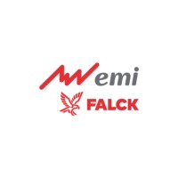 Grupo Emi