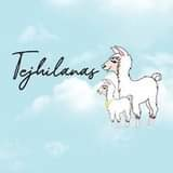 TEJHILANAS TEXTIL